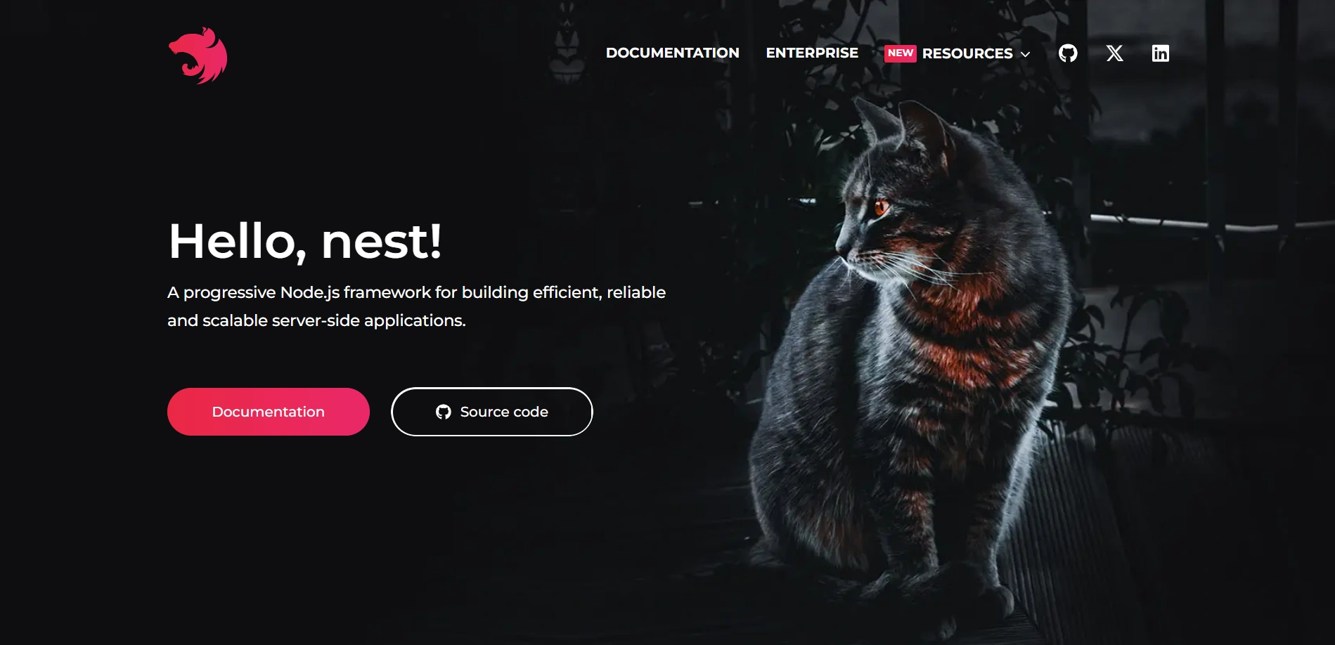 NestJs