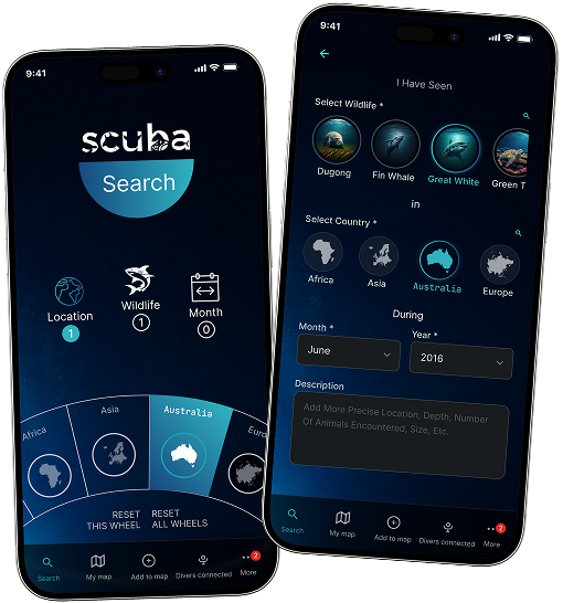 scuba-banner-img